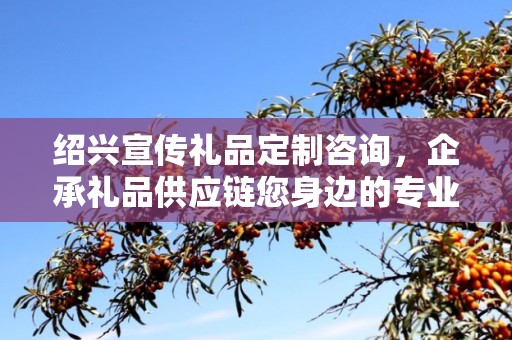 绍兴宣传礼品定制咨询，企承礼品供应链您身边的专业礼品定制公司