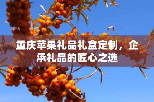 重庆苹果礼品礼盒定制，企承礼品的匠心之选