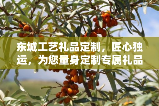 东城工艺礼品定制，匠心独运，为您量身定制专属礼品