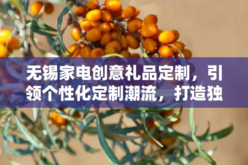 无锡家电创意礼品定制，引领个性化定制潮流，打造独特礼品体验