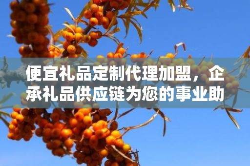 便宜礼品定制代理加盟，企承礼品供应链为您的事业助力
