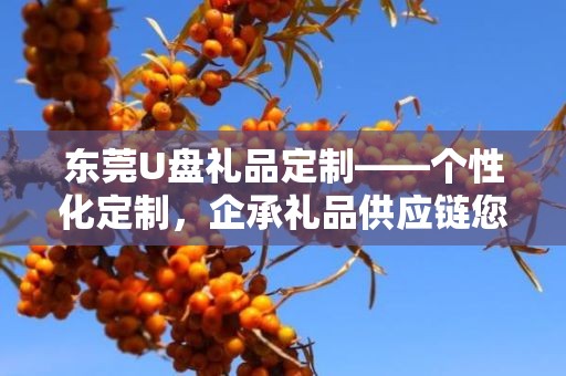 东莞U盘礼品定制——个性化定制，企承礼品供应链您身边的专业礼品定制公司