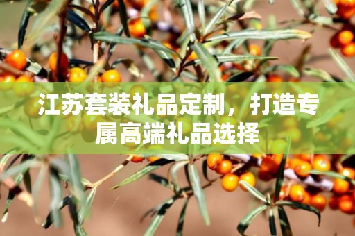 江苏套装礼品定制，打造专属高端礼品选择