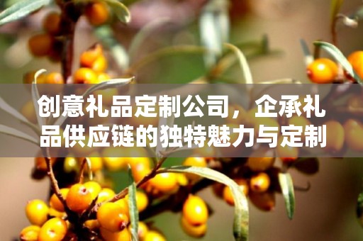 创意礼品定制公司，企承礼品供应链的独特魅力与定制之旅