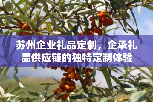 苏州企业礼品定制，企承礼品供应链的独特定制体验