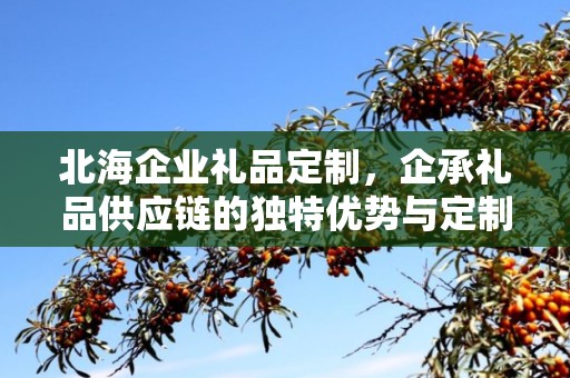北海企业礼品定制，企承礼品供应链的独特优势与定制之旅