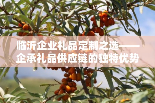临沂企业礼品定制之选——企承礼品供应链的独特优势