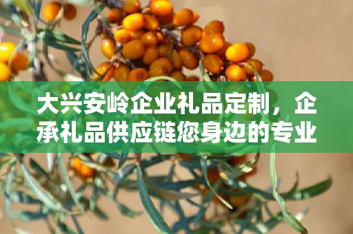 大兴安岭企业礼品定制，企承礼品供应链您身边的专业礼品定制公司