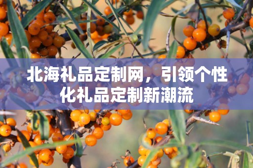 北海礼品定制网，引领个性化礼品定制新潮流