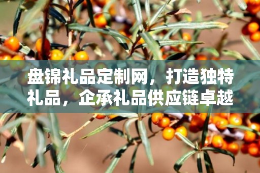 盘锦礼品定制网，打造独特礼品，企承礼品供应链卓越服务