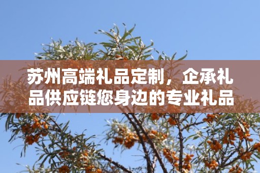 苏州高端礼品定制，企承礼品供应链您身边的专业礼品定制公司