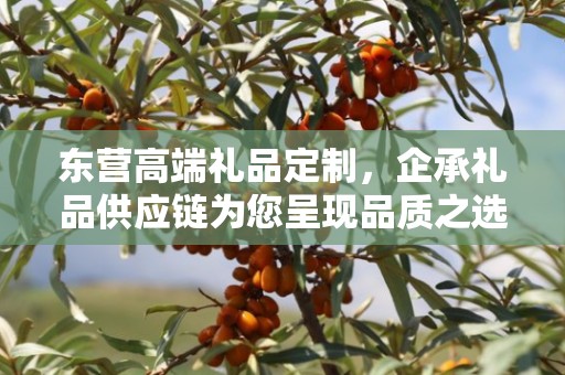 东营高端礼品定制，企承礼品供应链为您呈现品质之选