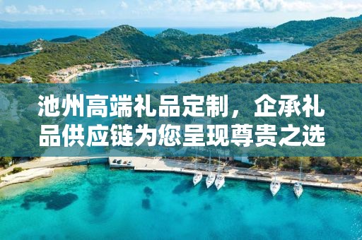 池州高端礼品定制，企承礼品供应链为您呈现尊贵之选