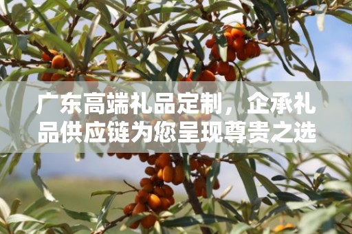广东高端礼品定制，企承礼品供应链为您呈现尊贵之选
