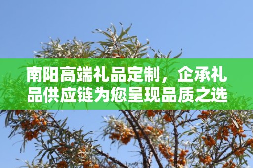 南阳高端礼品定制，企承礼品供应链为您呈现品质之选