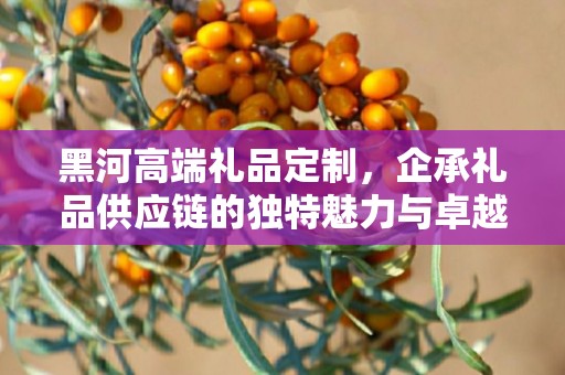 黑河高端礼品定制，企承礼品供应链的独特魅力与卓越服务