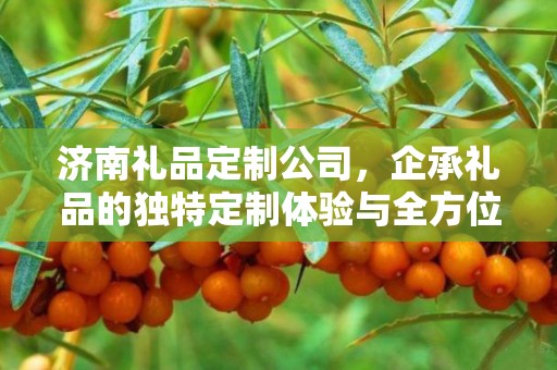 济南礼品定制公司，企承礼品的独特定制体验与全方位服务