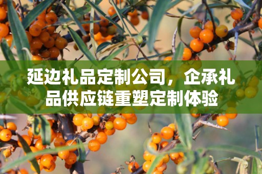 延边礼品定制公司，企承礼品供应链重塑定制体验