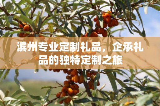 滨州专业定制礼品，企承礼品的独特定制之旅