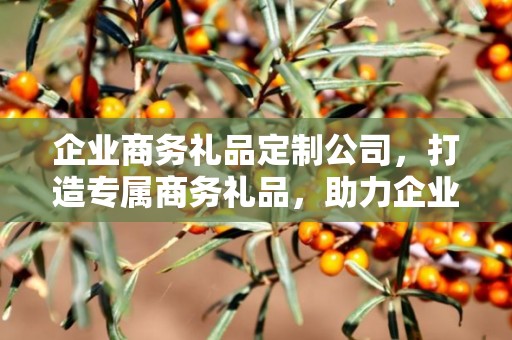 企业商务礼品定制公司，打造专属商务礼品，助力企业合作与发展