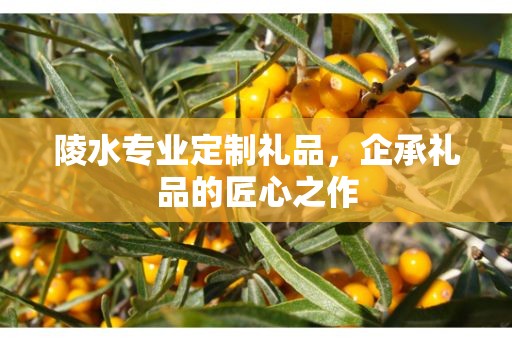 陵水专业定制礼品，企承礼品的匠心之作