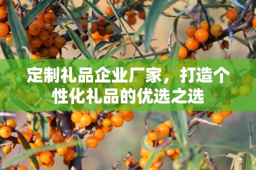 定制礼品企业厂家，打造个性化礼品的优选公司