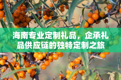 海南专业定制礼品，企承礼品供应链的独特定制之旅