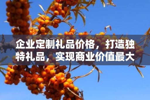 企业定制礼品价格，打造独特礼品，实现商业价值最大化