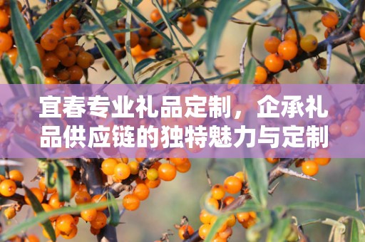 宜春专业礼品定制，企承礼品供应链的独特魅力与定制之旅