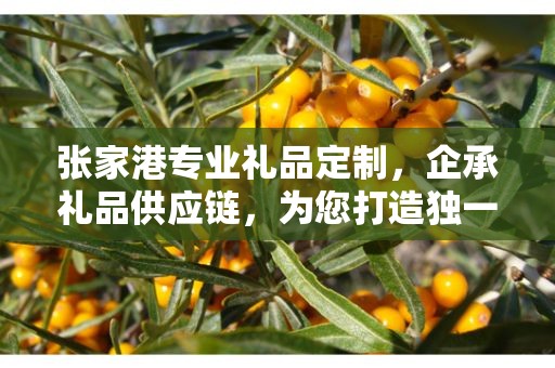 张家港专业礼品定制，企承礼品供应链，为您打造独一无二的礼品体验