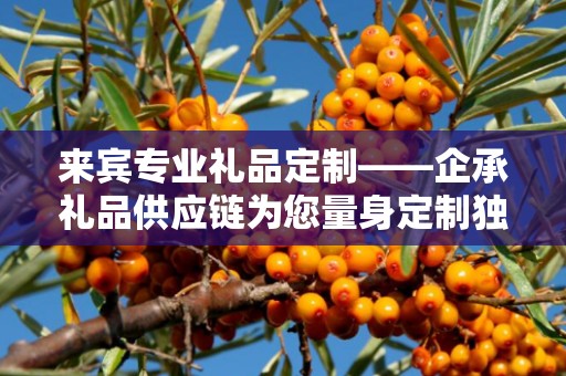 来宾专业礼品定制——企承礼品供应链为您量身定制独特礼品