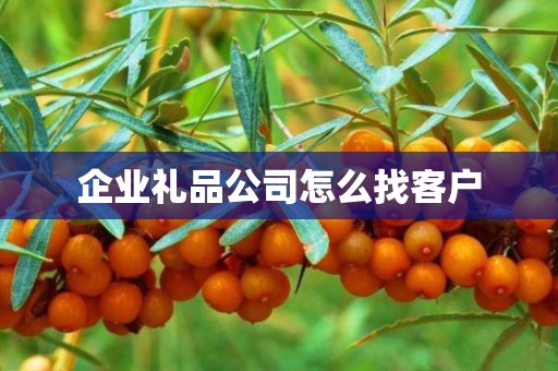 企业礼品公司怎么找客户