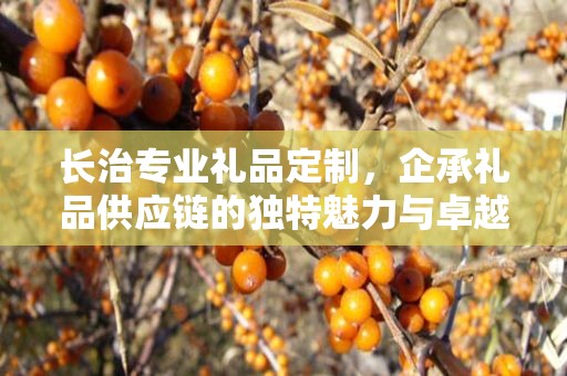 长治专业礼品定制，企承礼品供应链的独特魅力与卓越服务