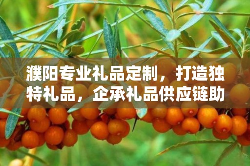 濮阳专业礼品定制，打造独特礼品，企承礼品供应链助力商务推广