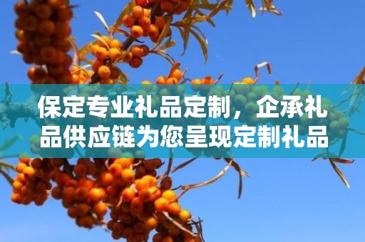 保定专业礼品定制，企承礼品供应链为您呈现定制礼品的魅力
