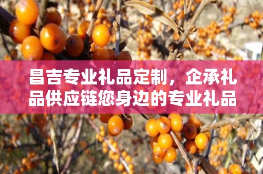 昌吉专业礼品定制，企承礼品供应链您身边的专业礼品定制公司