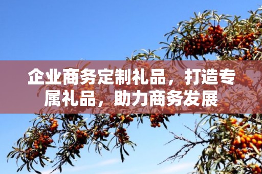 企业商务定制礼品，打造专属礼品，助力商务发展