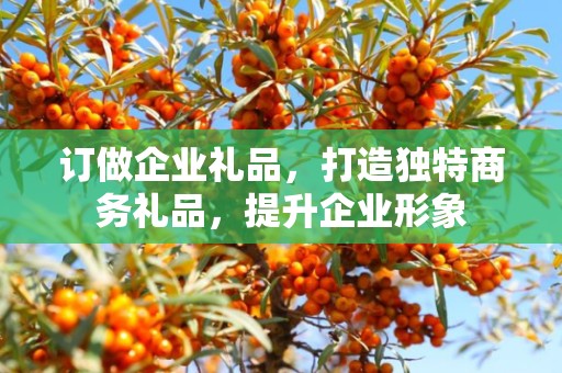 订做企业礼品，打造独特商务礼品，提升企业形象