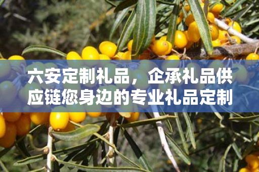 六安定制礼品，企承礼品供应链您身边的专业礼品定制公司