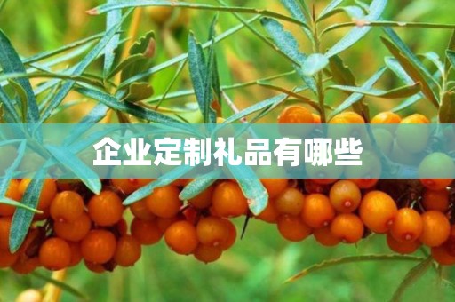 企业定制礼品有哪些