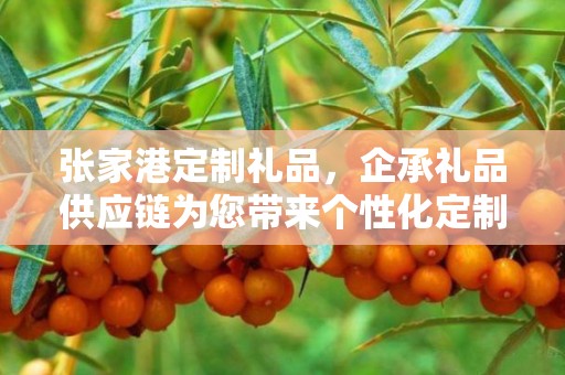 张家港定制礼品，企承礼品供应链为您带来个性化定制体验