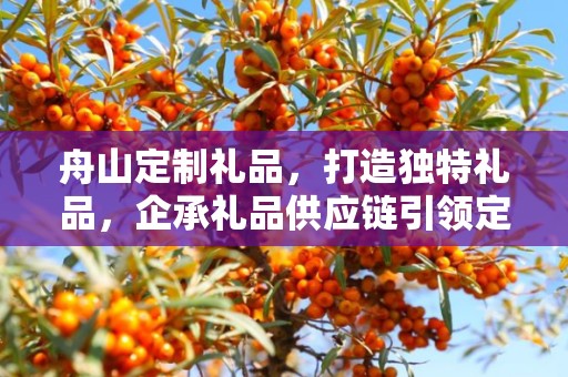 舟山定制礼品，打造独特礼品，企承礼品供应链引领定制新风尚