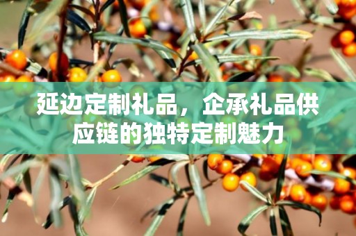 延边定制礼品，企承礼品供应链的独特定制魅力