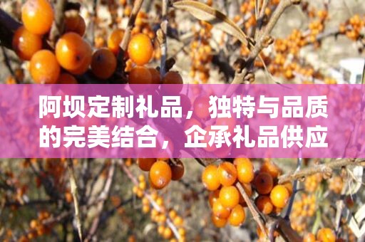 阿坝定制礼品，独特与品质的完美结合，企承礼品供应链为您呈现