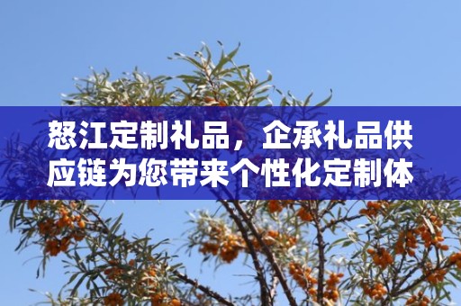 怒江定制礼品，企承礼品供应链为您带来个性化定制体验