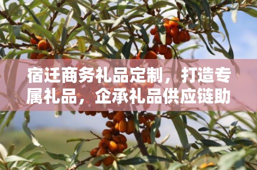 宿迁商务礼品定制，打造专属礼品，企承礼品供应链助力商务往来