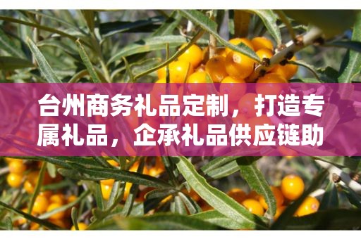 台州商务礼品定制，打造专属礼品，企承礼品供应链助力商务往来