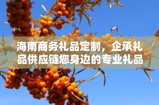 海南商务礼品定制，企承礼品供应链您身边的专业礼品定制公司