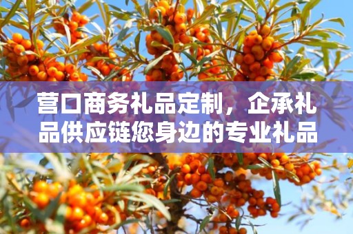 营口商务礼品定制，企承礼品供应链您身边的专业礼品定制公司