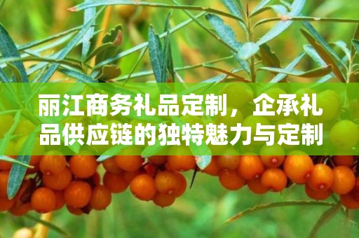 丽江商务礼品定制，企承礼品供应链的独特魅力与定制之旅